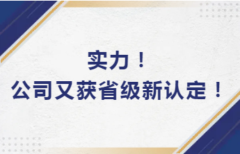 實力！公司又獲省級新認(rèn)定